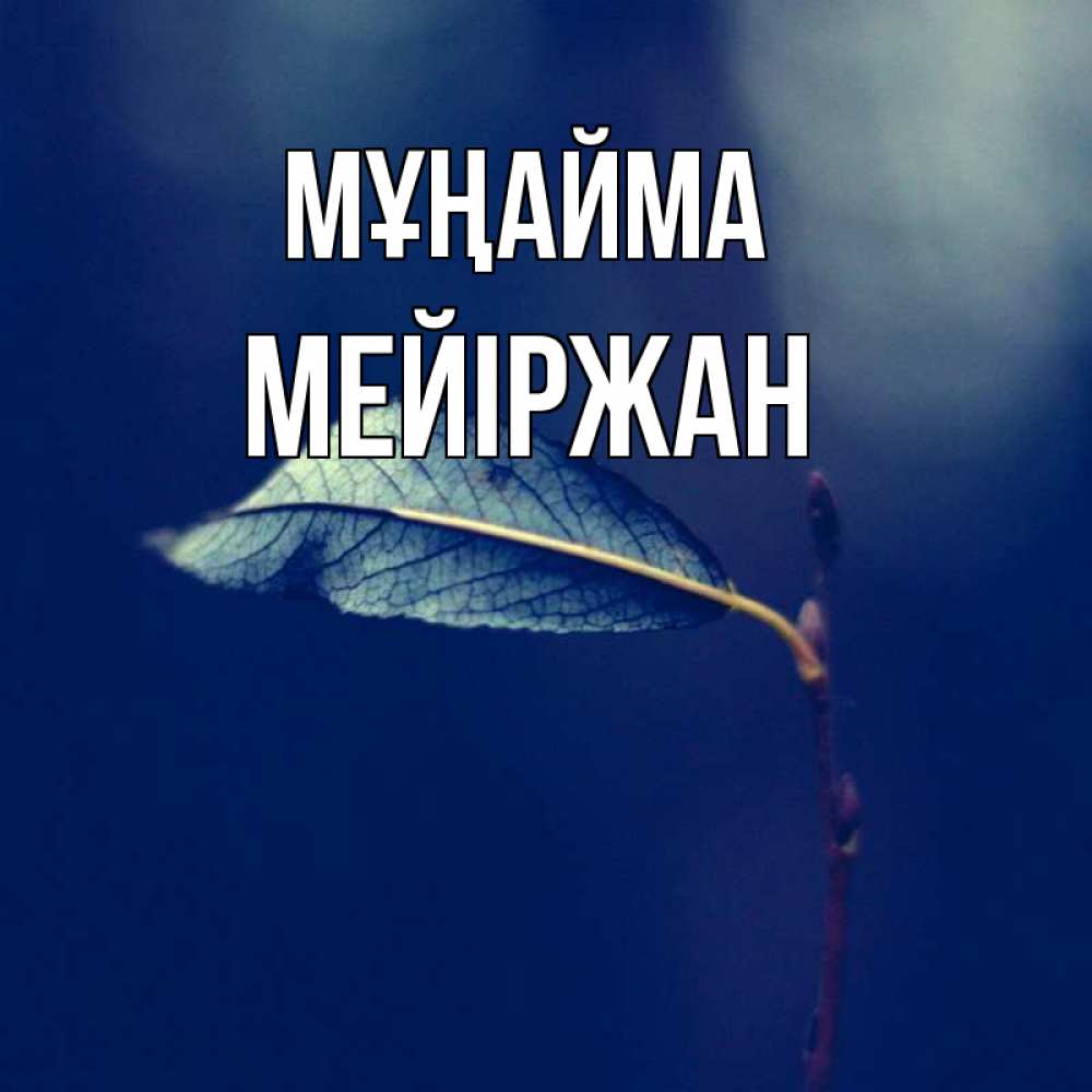 Күн сайын ашық хат с именем, МЕЙІРЖАН Мұңайма растение Онлайн тегін жүктеп алу тілектері бар керемет карта 