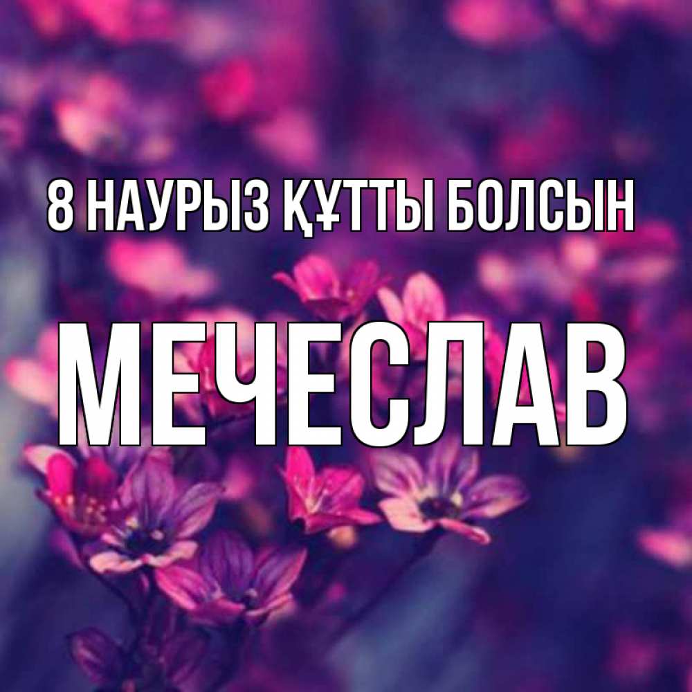 Күн сайын ашық хат с именем, Мечеслав 8 наурыз құтты болсын небольшие цветы 1 Онлайн тегін жүктеп алу тілектері бар керемет карта 