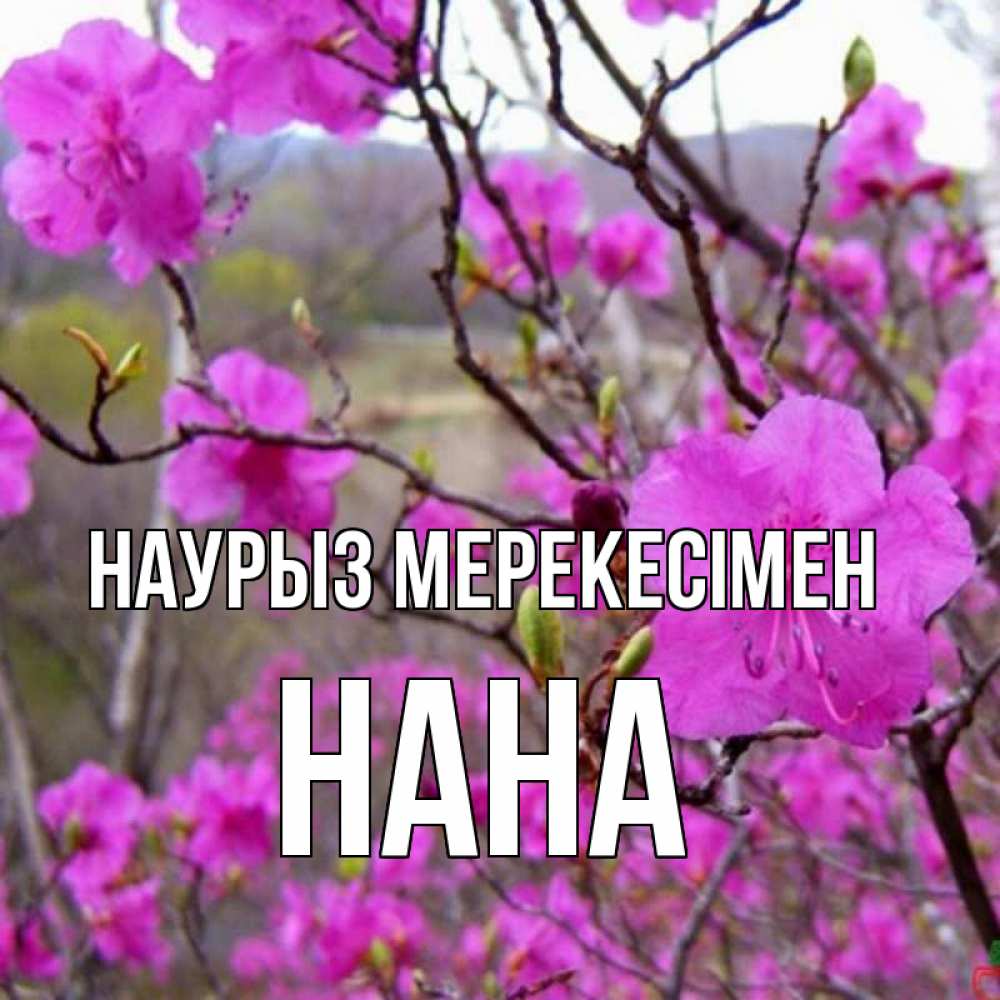 Күн сайын ашық хат с именем, Нана Наурыз мерекесімен праздник весны наурыз Онлайн тегін жүктеп алу тілектері бар керемет карта 