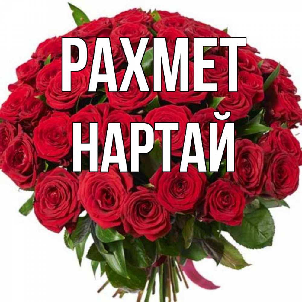 Күн сайын ашық хат с именем, Нартай рахмет букет красных роз Онлайн тегін жүктеп алу тілектері бар керемет карта 