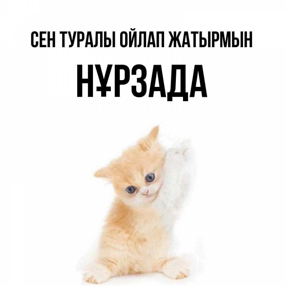 Күн сайын ашық хат с именем, НҰРЗАДА Сен туралы ойлап жатырмын зверушки и милота Онлайн тегін жүктеп алу тілектері бар керемет карта 