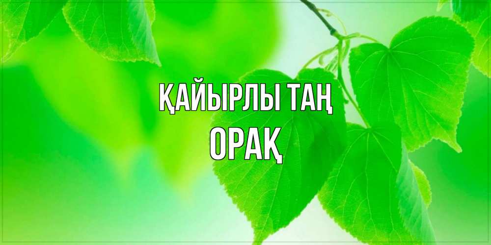 Күн сайын ашық хат с именем, ОРАҚ Қайырлы таң доброе утро с березовыми листьями Онлайн тегін жүктеп алу тілектері бар керемет карта 