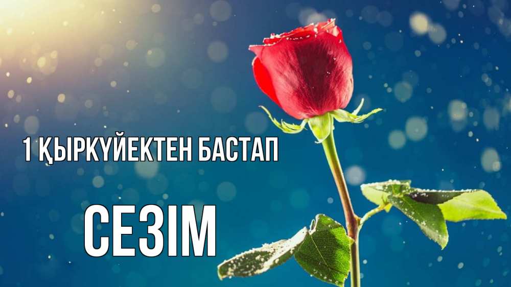 Күн сайын ашық хат с именем, СЕЗІМ 1 қыркүйектен бастап с днем знаний Онлайн тегін жүктеп алу тілектері бар керемет карта 