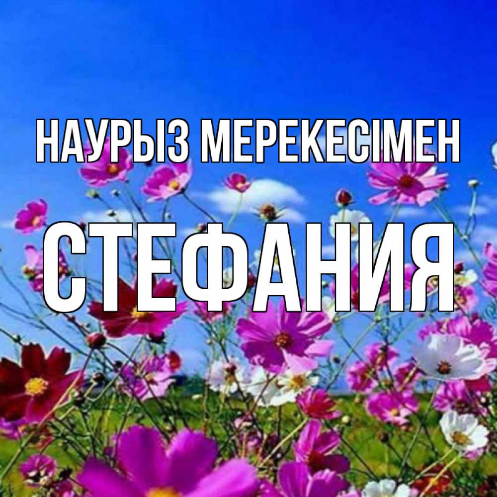 Күн сайын ашық хат с именем, Стефания Наурыз мерекесімен цветы Онлайн тегін жүктеп алу тілектері бар керемет карта 
