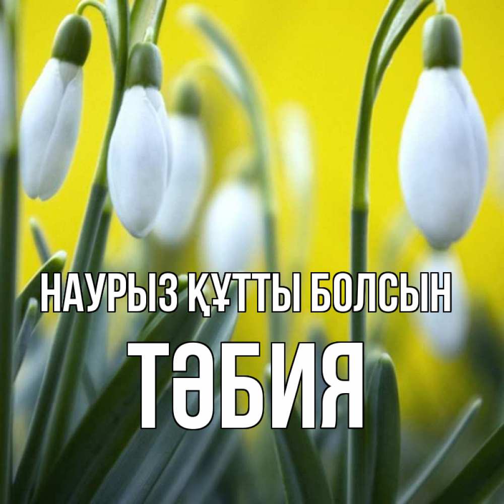 Күн сайын ашық хат с именем, ТӘБИЯ Наурыз құтты болсын весенние цветы Онлайн тегін жүктеп алу тілектері бар керемет карта 