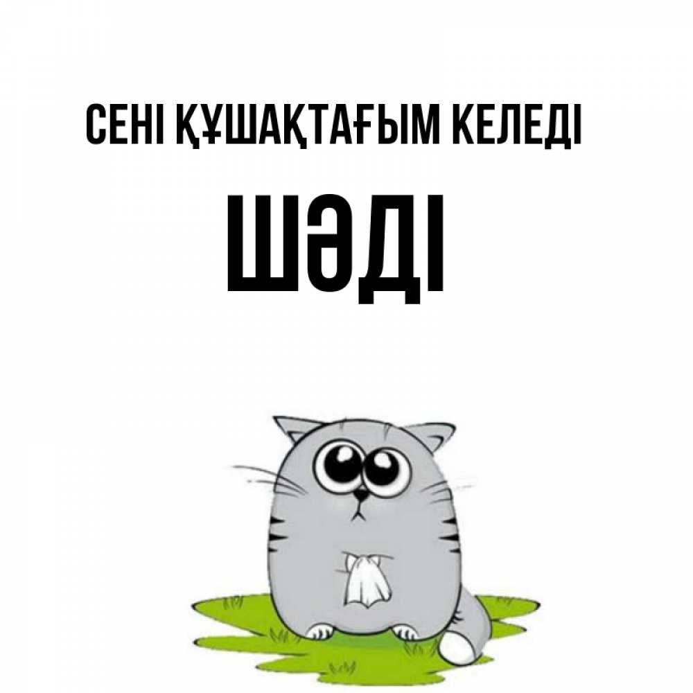 Күн сайын ашық хат с именем, ШӘДІ сені құшақтағым келеді котик теребит платочек сидя на травке Онлайн тегін жүктеп алу тілектері бар керемет карта 