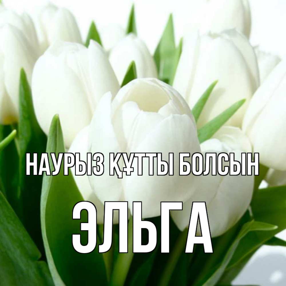 Күн сайын ашық хат с именем, Эльга Наурыз құтты болсын цветы Онлайн тегін жүктеп алу тілектері бар керемет карта 
