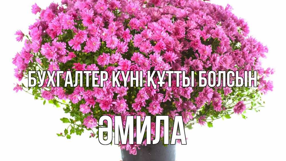 Күн сайын ашық хат с именем, ӘМИЛА бухгалтер күні құтты болсын с днем бухгалтера Онлайн тегін жүктеп алу тілектері бар керемет карта 