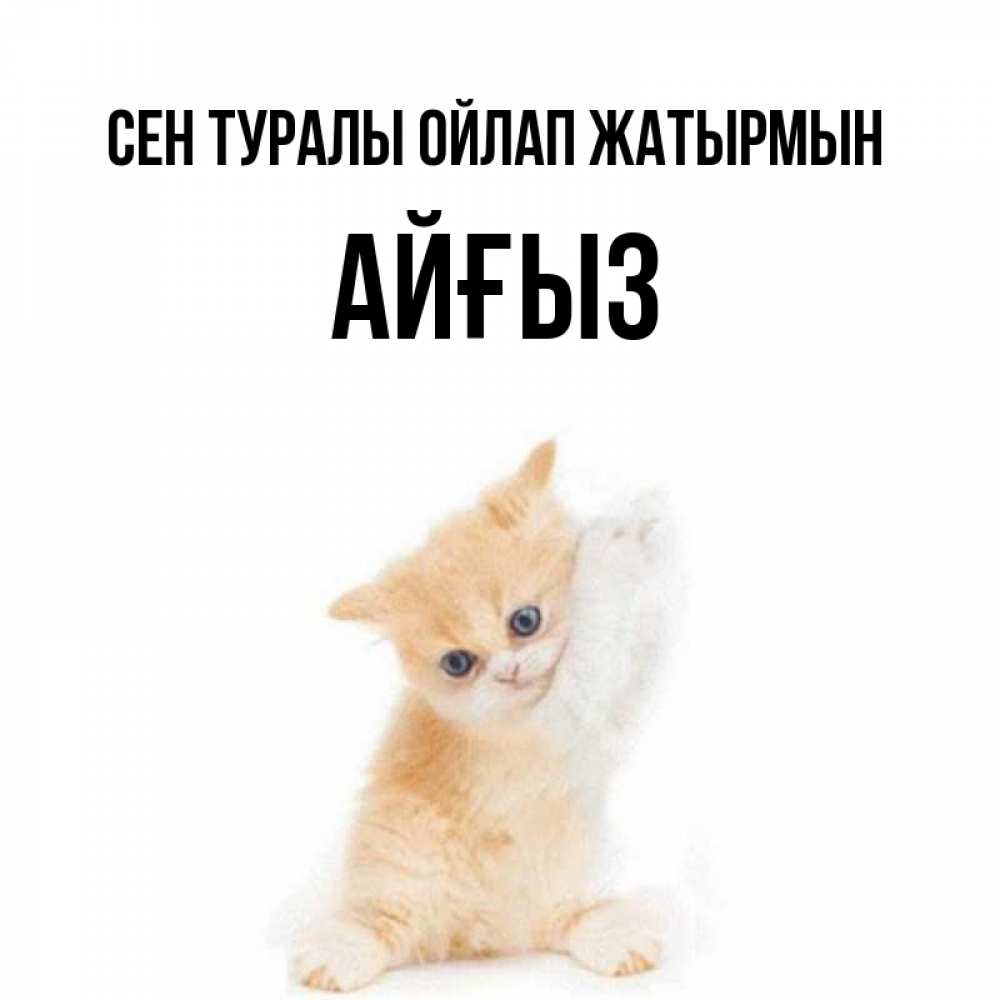 Күн сайын ашық хат с именем, АЙҒЫЗ Сен туралы ойлап жатырмын зверушки и милота Онлайн тегін жүктеп алу тілектері бар керемет карта 