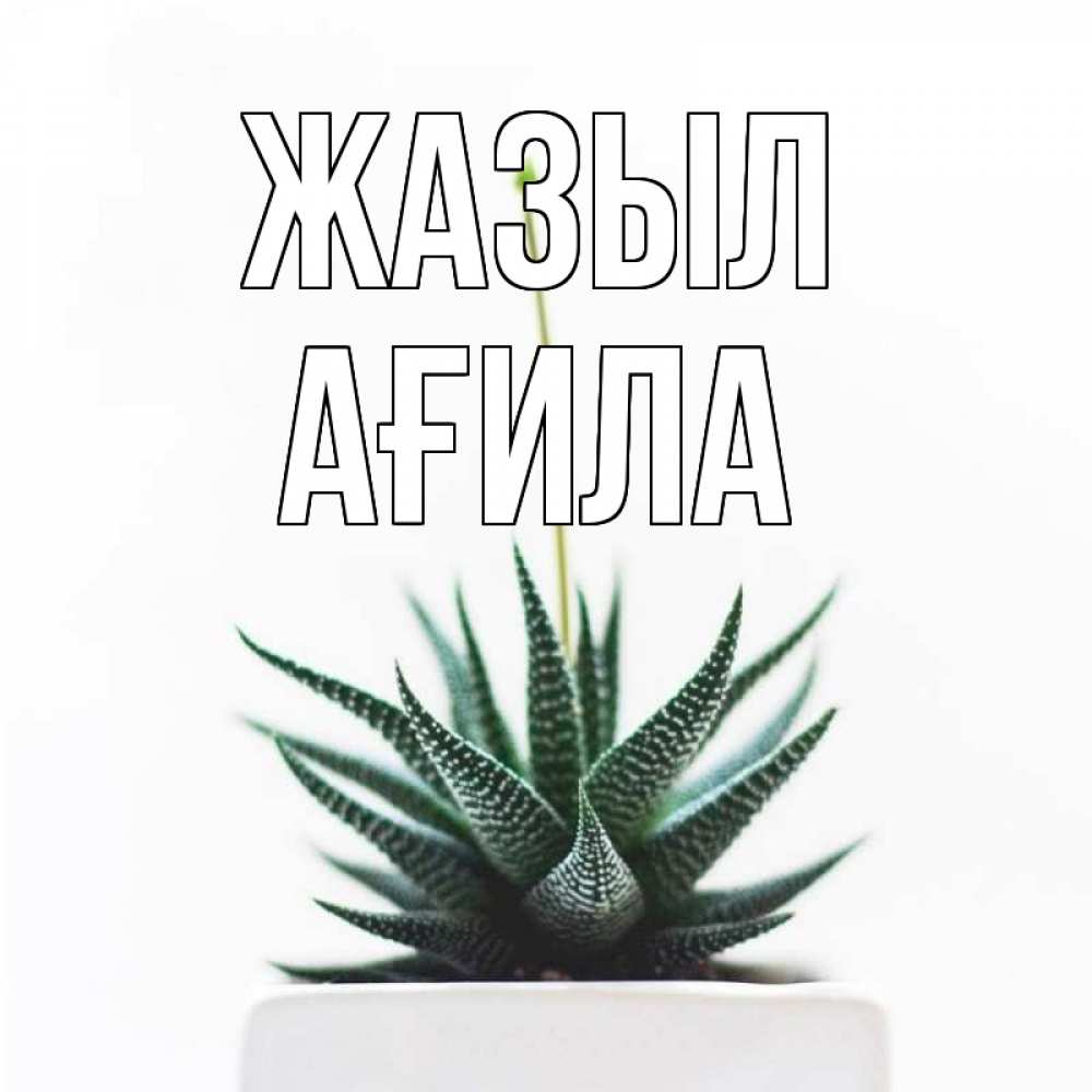 Күн сайын ашық хат с именем, АҒИЛА Жазыл короче это непонятная колючка Онлайн тегін жүктеп алу тілектері бар керемет карта 