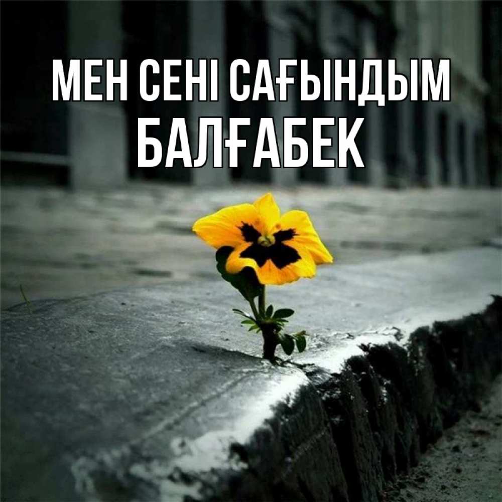 Күн сайын ашық хат с именем, Балғабек Мен сені сағындым надеюсь будет лучше Онлайн тегін жүктеп алу тілектері бар керемет карта 