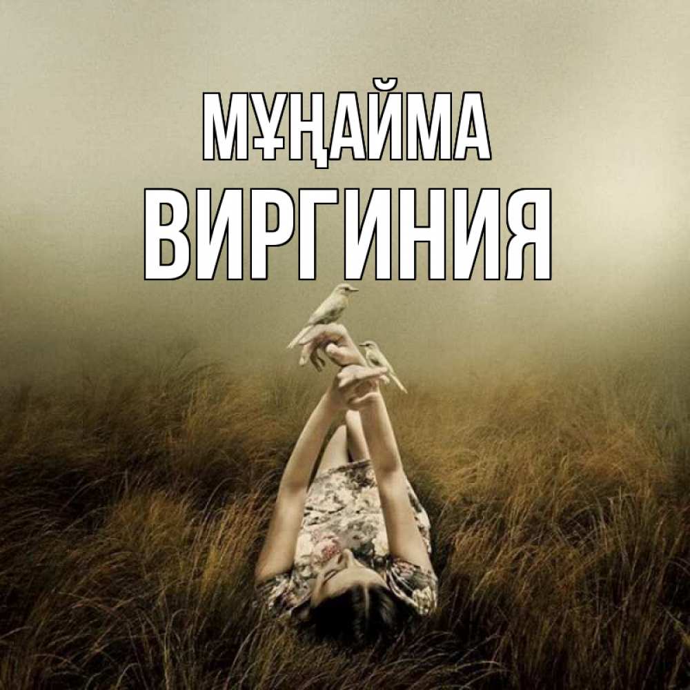 Күн сайын ашық хат с именем, Виргиния Мұңайма поле и туман Онлайн тегін жүктеп алу тілектері бар керемет карта 