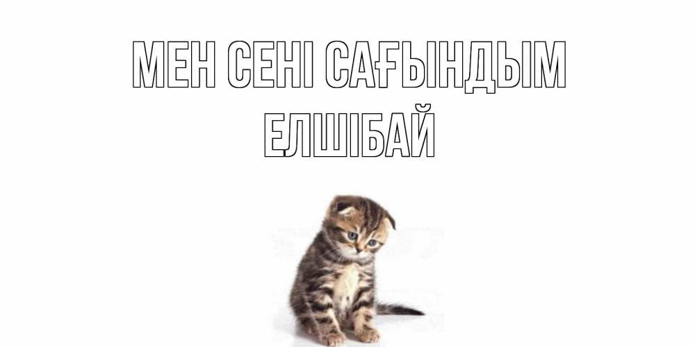 Күн сайын ашық хат с именем, Елшібай Мен сені сағындым кот Онлайн тегін жүктеп алу тілектері бар керемет карта 