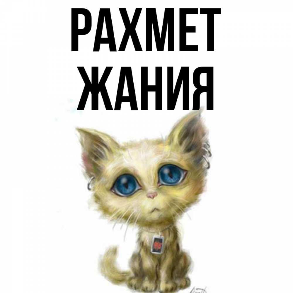 Күн сайын ашық хат с именем, ЖАНИЯ рахмет рисованный кот благодарит вас Онлайн тегін жүктеп алу тілектері бар керемет карта 