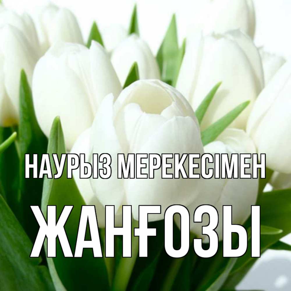Күн сайын ашық хат с именем, Жанғозы Наурыз мерекесімен цветы Онлайн тегін жүктеп алу тілектері бар керемет карта 