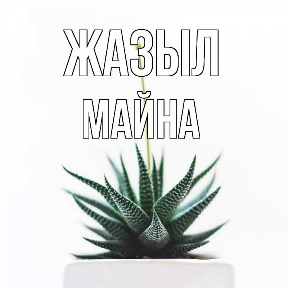 Күн сайын ашық хат с именем, МАЙНА Жазыл короче это непонятная колючка Онлайн тегін жүктеп алу тілектері бар керемет карта 