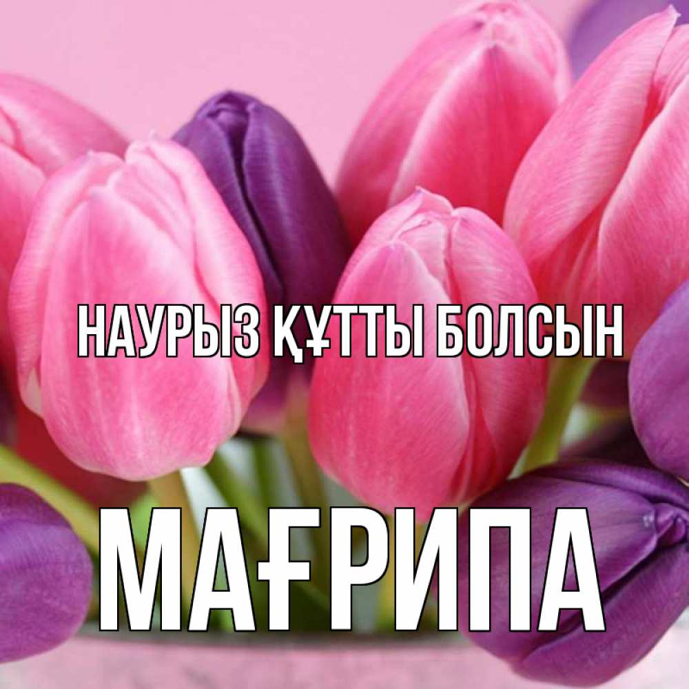 Күн сайын ашық хат с именем, МАҒРИПА Наурыз құтты болсын маме 1 Онлайн тегін жүктеп алу тілектері бар керемет карта 