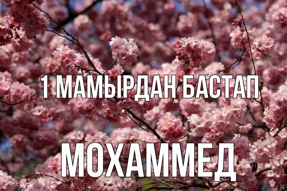 Күн сайын ашық хат с именем, Мохаммед 1 мамырдан бастап С 1 мая Онлайн тегін жүктеп алу тілектері бар керемет карта 