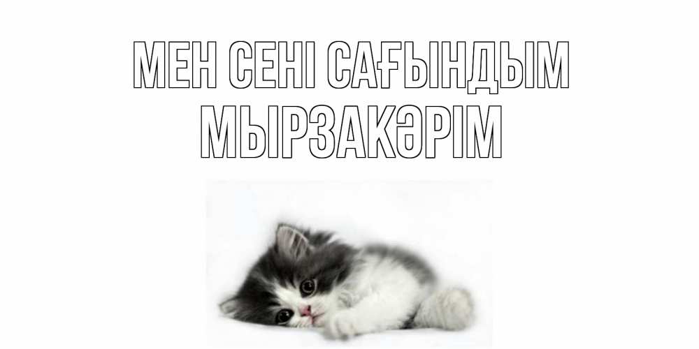 Күн сайын ашық хат с именем, Мырзакәрім Мен сені сағындым кот, скука Онлайн тегін жүктеп алу тілектері бар керемет карта 