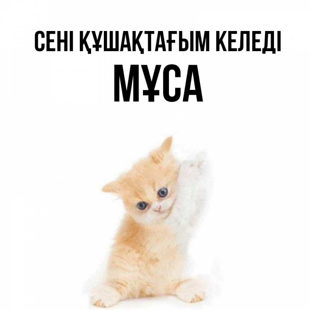 Күн сайын ашық хат с именем, МҰСА сені құшақтағым келеді я хочу очень скорее обнимаешек Онлайн тегін жүктеп алу тілектері бар керемет карта 
