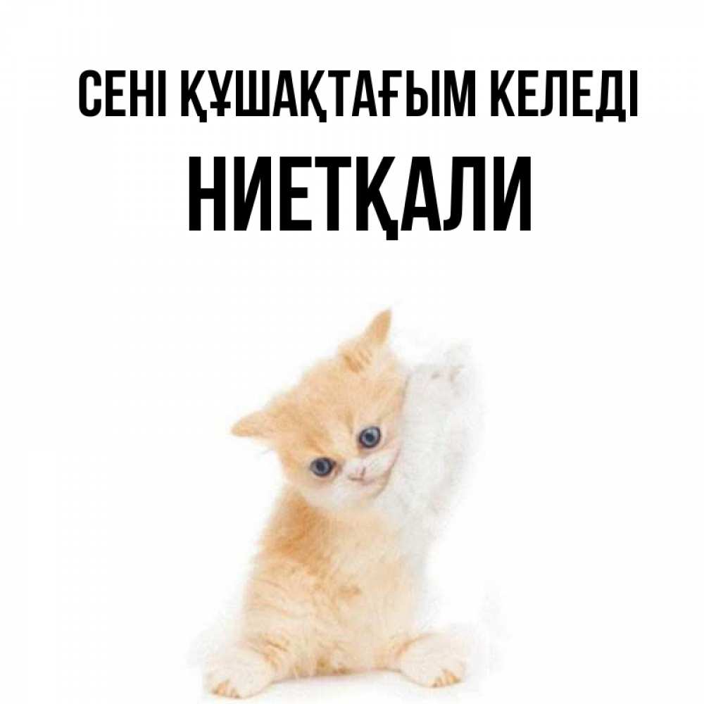 Күн сайын ашық хат с именем, НИЕТҚАЛИ сені құшақтағым келеді я хочу очень скорее обнимаешек Онлайн тегін жүктеп алу тілектері бар керемет карта 
