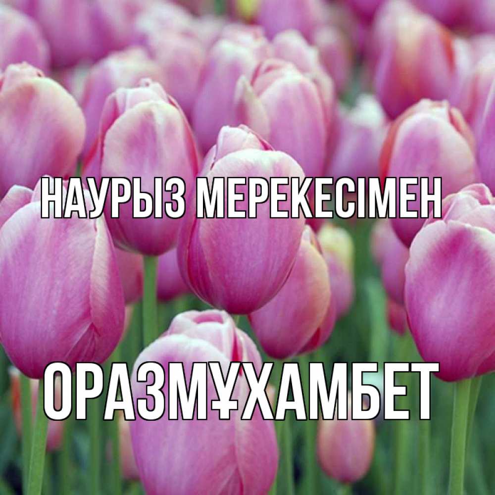 Күн сайын ашық хат с именем, ОРАЗМҰХАМБЕТ Наурыз мерекесімен праздник весны наурыз 69 Онлайн тегін жүктеп алу тілектері бар керемет карта 