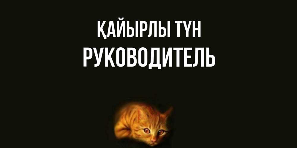 Күн сайын ашық хат с именем, Руководитель Қайырлы түн кот Онлайн тегін жүктеп алу тілектері бар керемет карта 