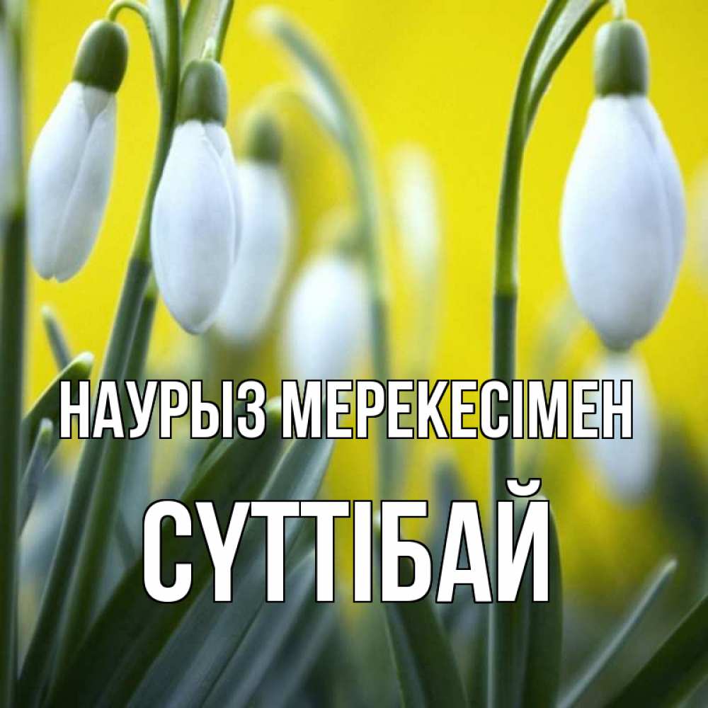 Күн сайын ашық хат с именем, СҮТТІБАЙ Наурыз мерекесімен весенние цветы Онлайн тегін жүктеп алу тілектері бар керемет карта 