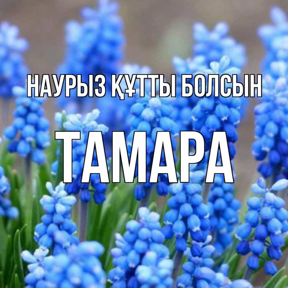 Күн сайын ашық хат с именем, ТАМАРА Наурыз құтты болсын Поздравительная открытка для женщин с цветами на праздничную дату Онлайн тегін жүктеп алу тілектері бар керемет карта 
