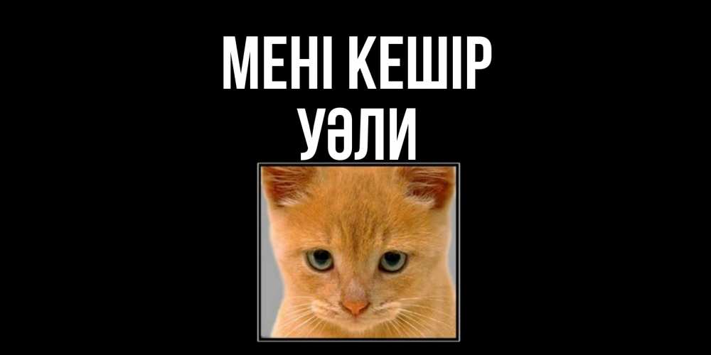 Күн сайын ашық хат с именем, УӘЛИ Мені кешір рыжий грустный кот просит прощения Онлайн тегін жүктеп алу тілектері бар керемет карта 
