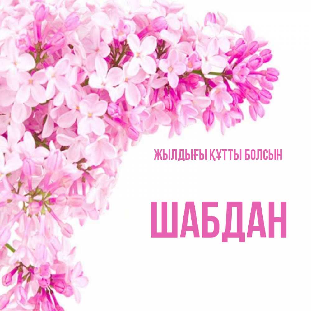 Күн сайын ашық хат с именем, ШАБДАН Жылдығы құтты болсын Сирень на белом фоне Онлайн тегін жүктеп алу тілектері бар керемет карта 