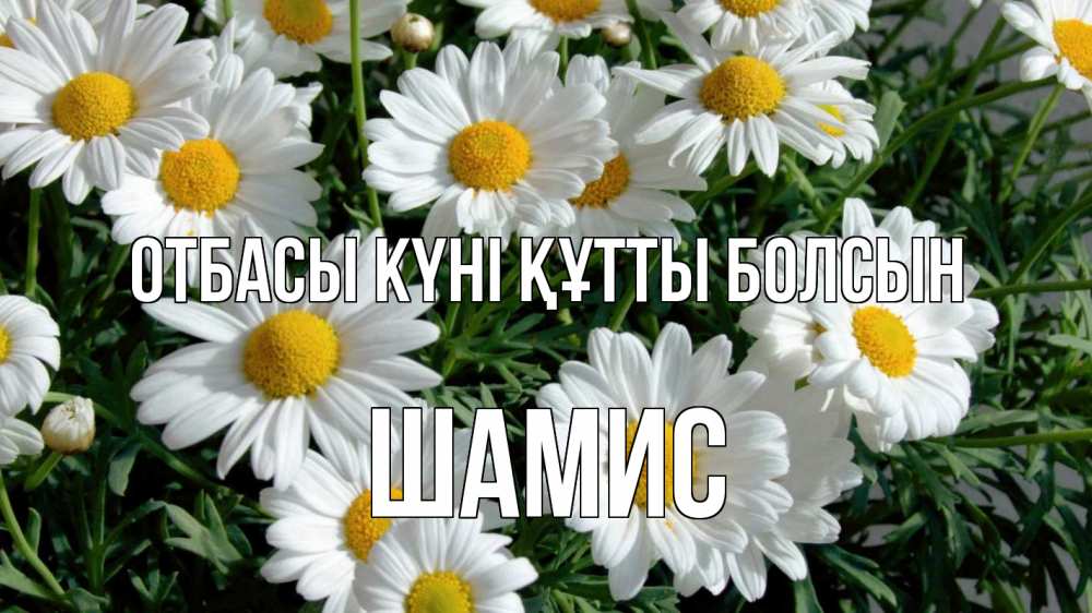 Күн сайын ашық хат с именем, ШАМИС отбасы күні құтты болсын с днем семьи Онлайн тегін жүктеп алу тілектері бар керемет карта 