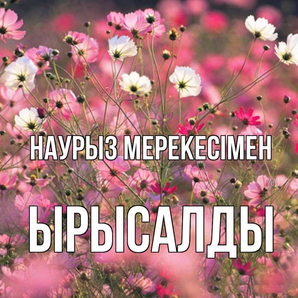 Күн сайын ашық хат с именем, ЫРЫСАЛДЫ Наурыз мерекесімен красиво 1 Онлайн тегін жүктеп алу тілектері бар керемет карта 