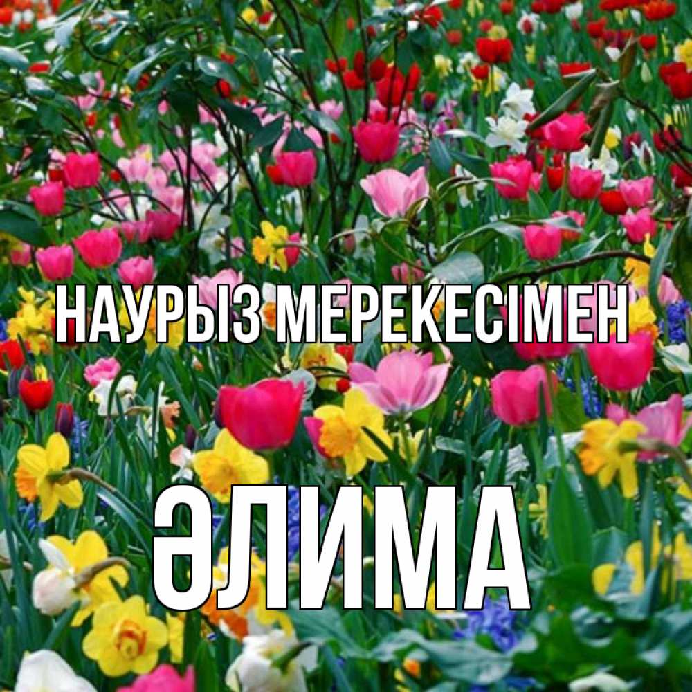 Күн сайын ашық хат с именем, ӘЛИМА Наурыз мерекесімен с наурызом праздником весны поздравления для женщины Онлайн тегін жүктеп алу тілектері бар керемет карта 