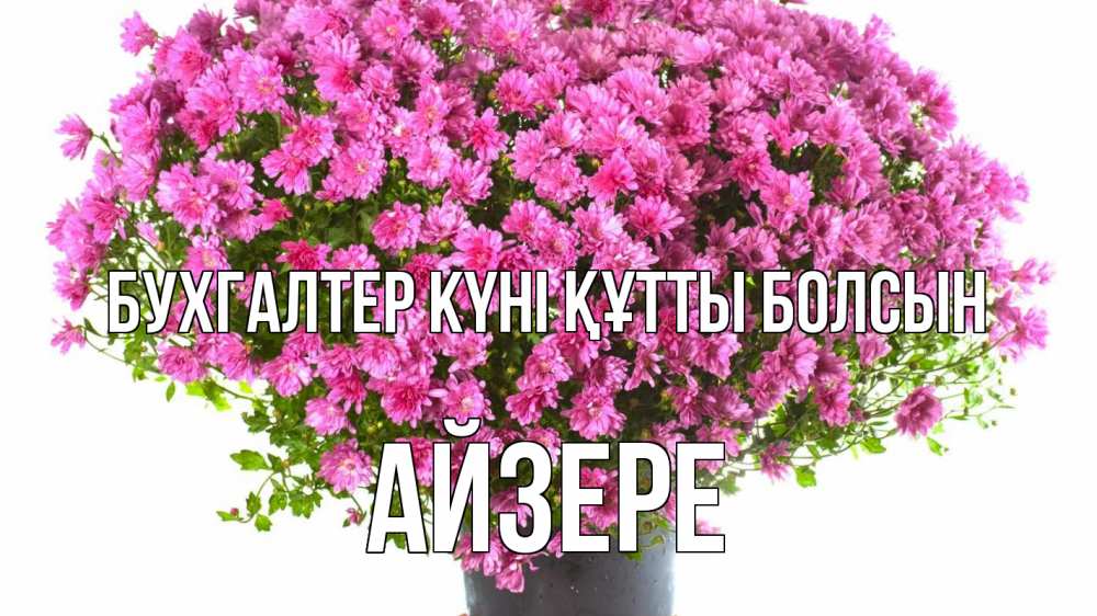 Күн сайын ашық хат с именем, АЙЗЕРЕ бухгалтер күні құтты болсын с днем бухгалтера Онлайн тегін жүктеп алу тілектері бар керемет карта 
