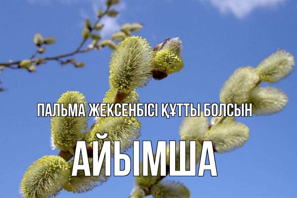 Күн сайын ашық хат с именем, АЙЫМША Пальма жексенбісі құтты болсын верба Онлайн тегін жүктеп алу тілектері бар керемет карта 