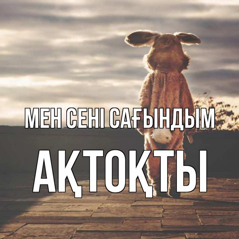 Күн сайын ашық хат с именем, АҚТОҚТЫ Мен сені сағындым даже в костюме зайца Онлайн тегін жүктеп алу тілектері бар керемет карта 