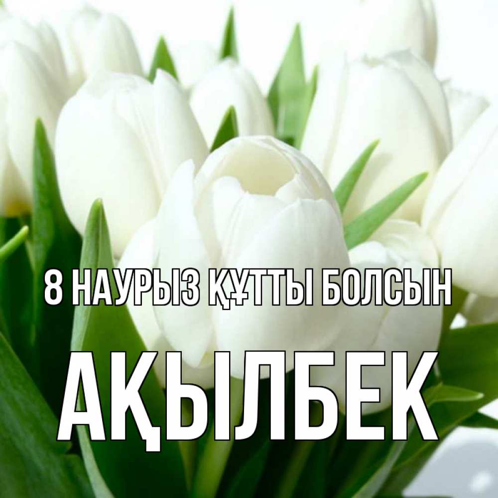 Күн сайын ашық хат с именем, Ақылбек 8 наурыз құтты болсын цветы Онлайн тегін жүктеп алу тілектері бар керемет карта 