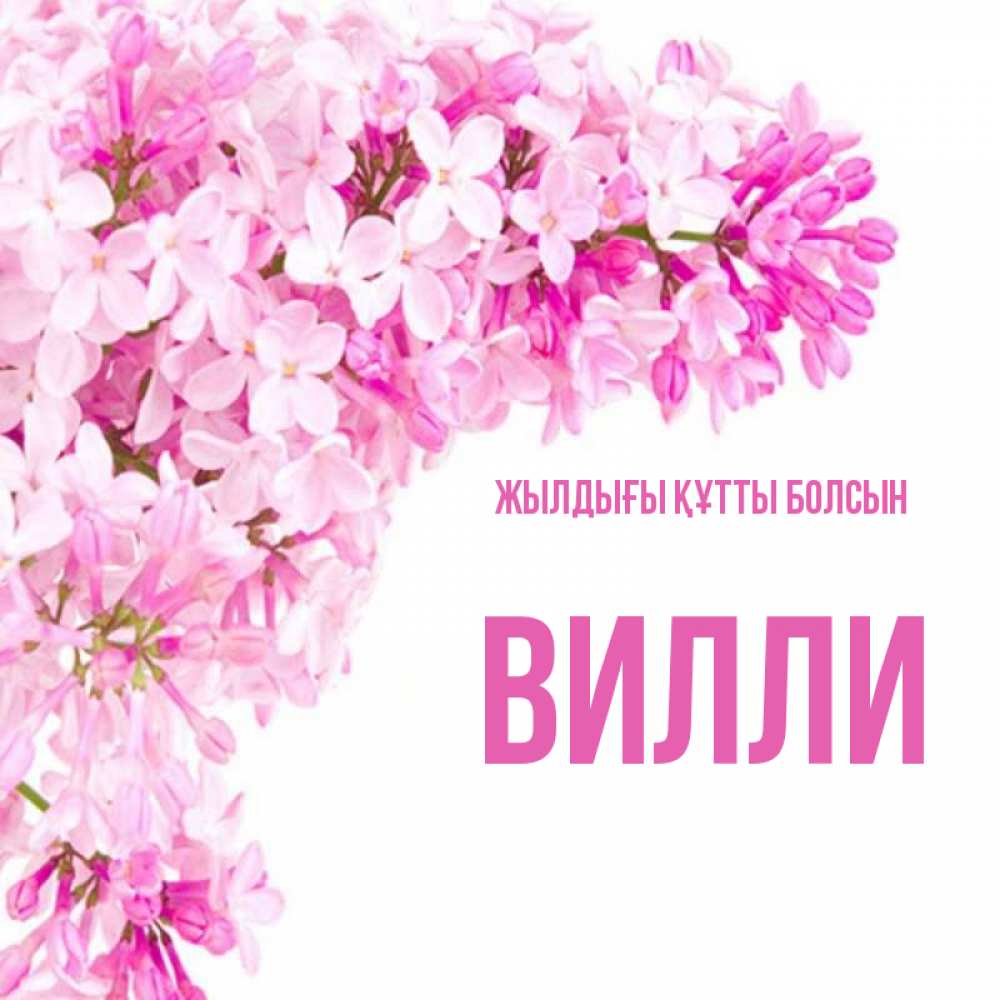 Күн сайын ашық хат с именем, Вилли Жылдығы құтты болсын Сирень на белом фоне Онлайн тегін жүктеп алу тілектері бар керемет карта 