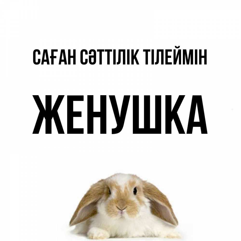Күн сайын ашық хат с именем, Женушка Саған сәттілік тілеймін открытки с произвольным текстом который можно вставить в открытку и создать ее самостоятельно бесплатно онлайн Онлайн тегін жүктеп алу тілектері бар керемет карта 