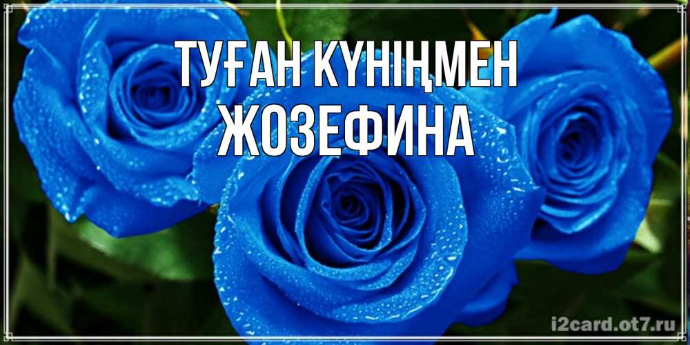 Күн сайын ашық хат с именем, Жозефина Туған күніңмен розы с синим цветом Онлайн тегін жүктеп алу тілектері бар керемет карта 