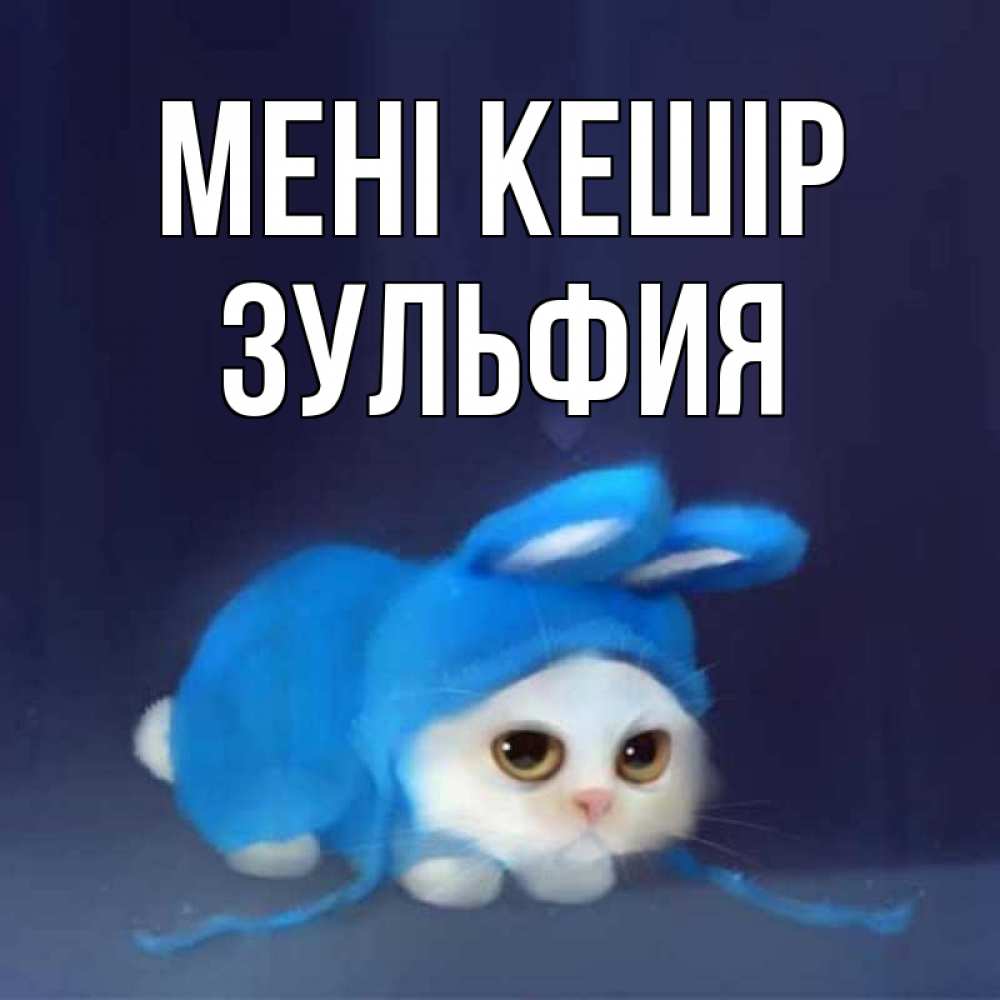 Күн сайын ашық хат с именем, Зульфия Мені кешір невинный котозай просит прощения Онлайн тегін жүктеп алу тілектері бар керемет карта 