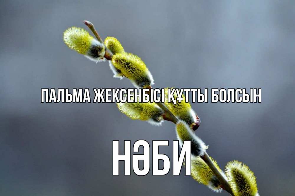 Күн сайын ашық хат с именем, НӘБИ Пальма жексенбісі құтты болсын верба Онлайн тегін жүктеп алу тілектері бар керемет карта 