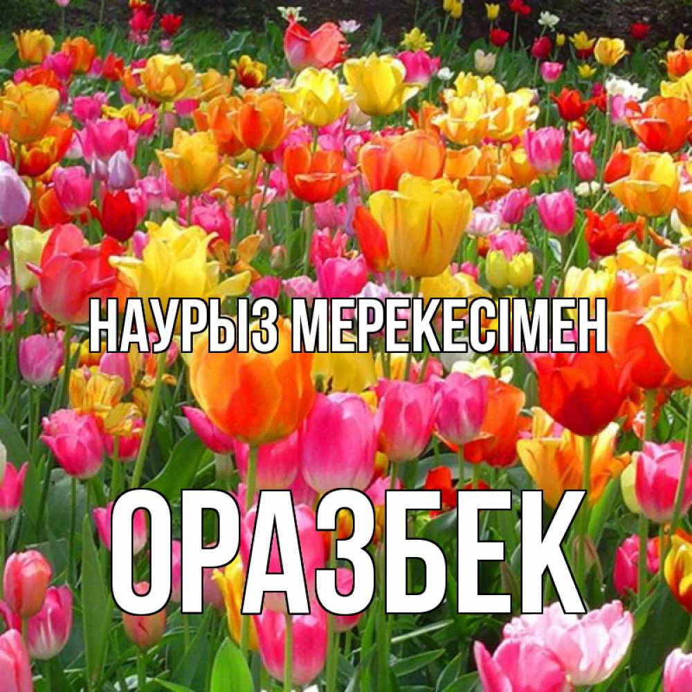 Күн сайын ашық хат с именем, ОРАЗБЕК Наурыз мерекесімен праздник весны наурыз 4 Онлайн тегін жүктеп алу тілектері бар керемет карта 