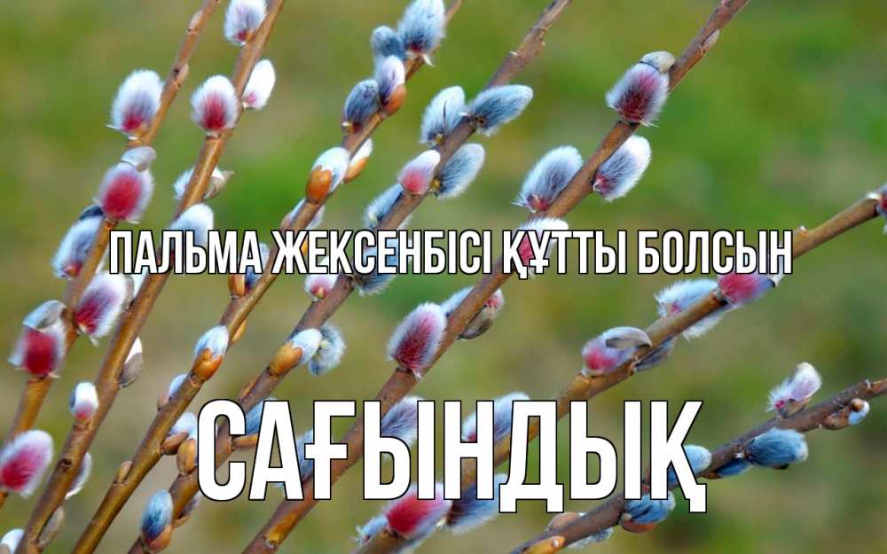 Күн сайын ашық хат с именем, САҒЫНДЫҚ Пальма жексенбісі құтты болсын верба Онлайн тегін жүктеп алу тілектері бар керемет карта 
