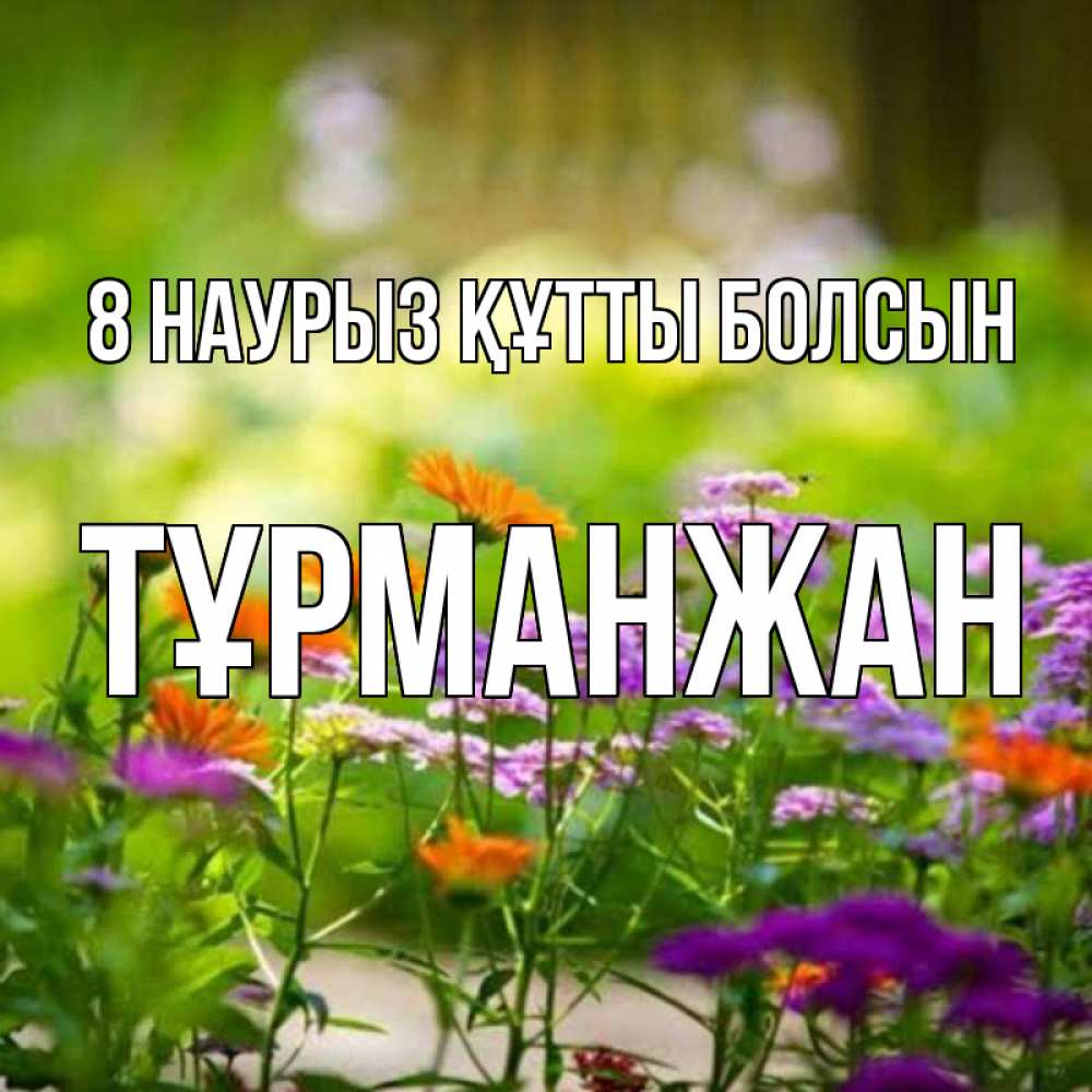 Күн сайын ашық хат с именем, ТҰРМАНЖАН 8 наурыз құтты болсын цветы Онлайн тегін жүктеп алу тілектері бар керемет карта 