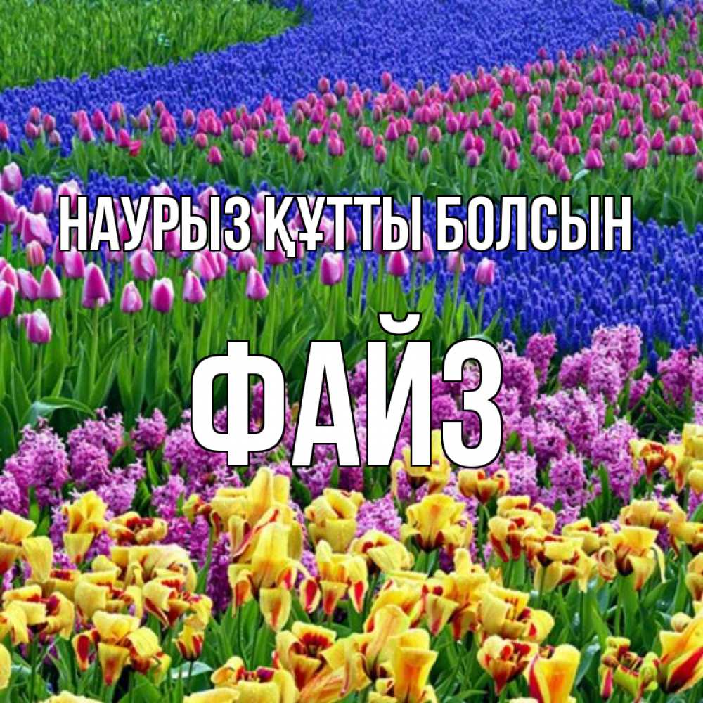 Күн сайын ашық хат с именем, ФАЙЗ Наурыз құтты болсын цветы Онлайн тегін жүктеп алу тілектері бар керемет карта 