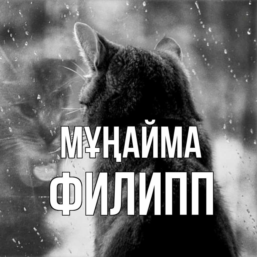 Күн сайын ашық хат с именем, Филипп Мұңайма отражение кота 1 Онлайн тегін жүктеп алу тілектері бар керемет карта 