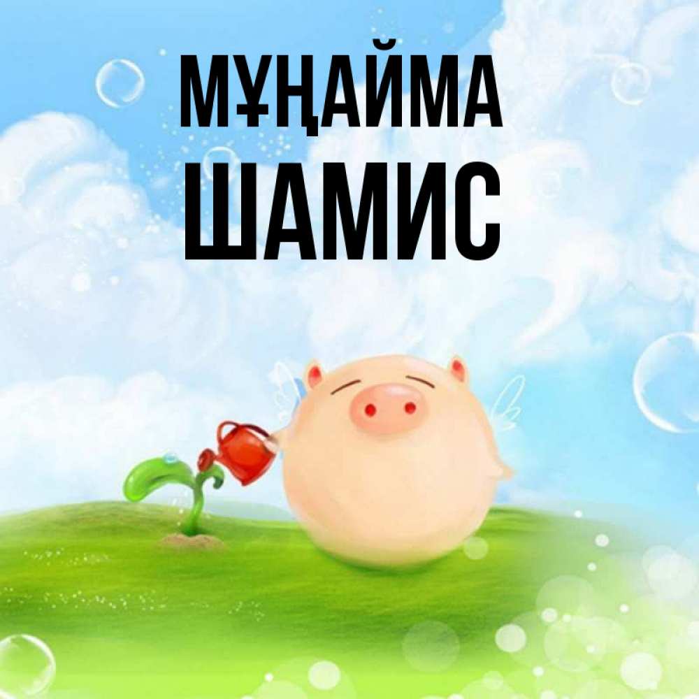 Күн сайын ашық хат с именем, ШАМИС Мұңайма поливает цветок порося Онлайн тегін жүктеп алу тілектері бар керемет карта 