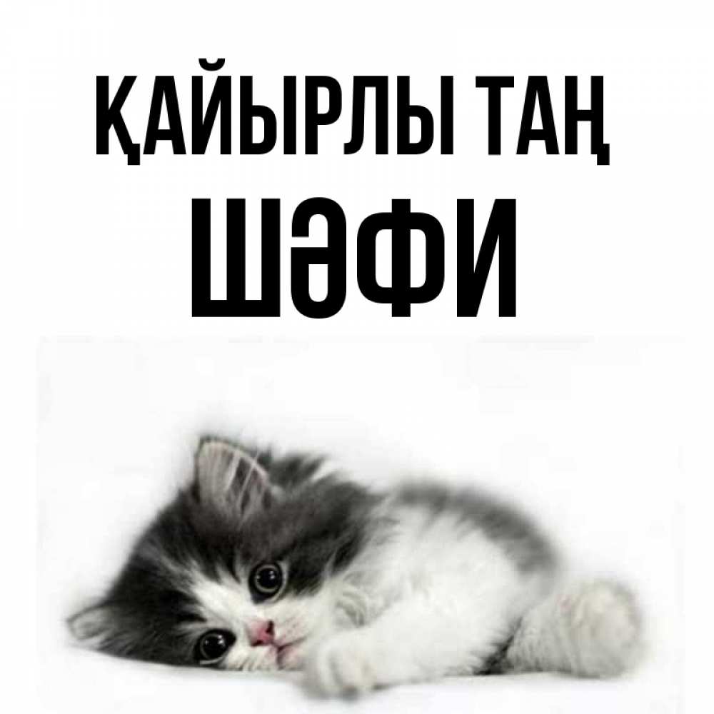 Күн сайын ашық хат с именем, ШӘФИ Қайырлы таң кот лапки Онлайн тегін жүктеп алу тілектері бар керемет карта 